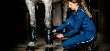 The Right Support: Unpacking Therapy Technologies for Your Horse