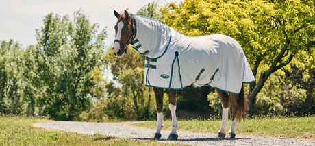 Ultimate UV Protection for Horses & Riders