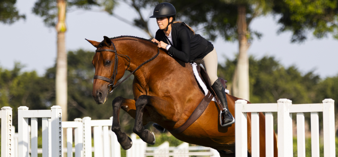 Why Freejump Stirrups Make a Difference