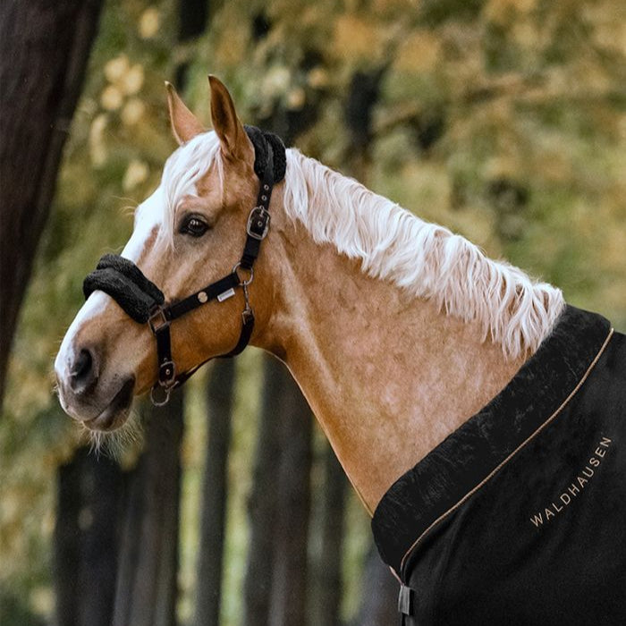 Waldhausen Modern Rose Halter #colour_black-anthracite