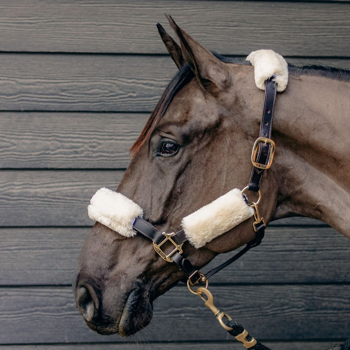 KM Elite Teddy Soft Headstall Set #colour_natural