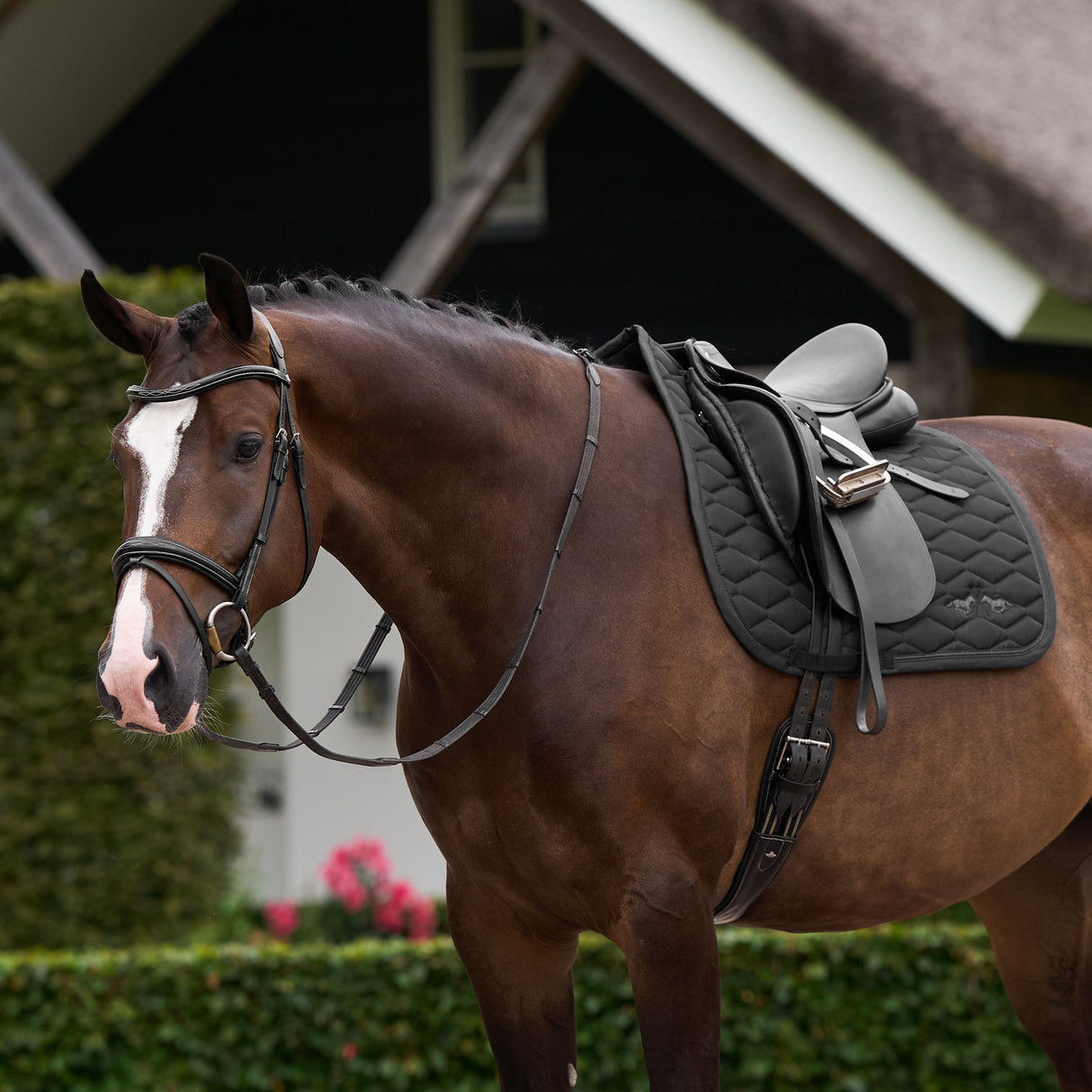 HV Polo Joan Dressage Saddle Pad #colour_black