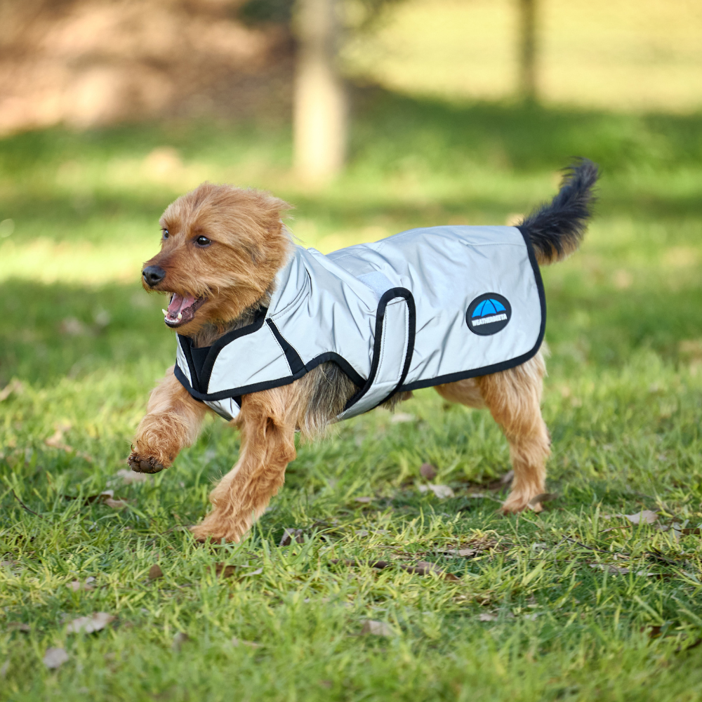 Weatherbeeta Comfitec Reflective Showerproof Dog Coat #colour_silver