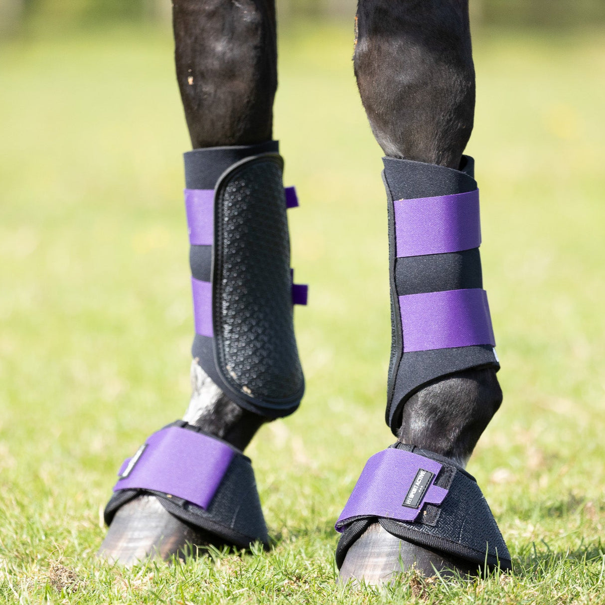 Hy Sport Active Over Reach Boots #colour_royal-violet