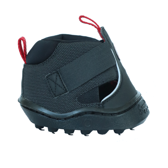 Equine Fusion Trekking Shoe #colour_black