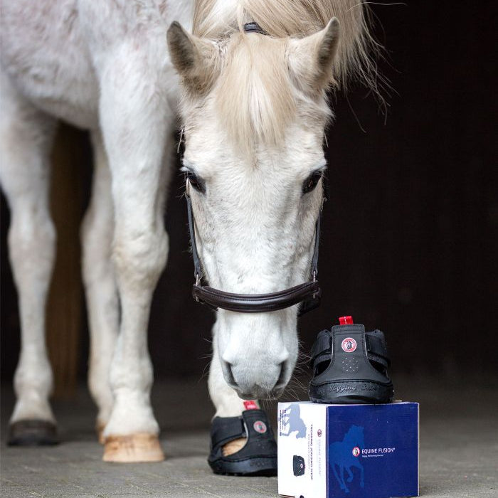 Equine Fusion Trekking Shoe #colour_black