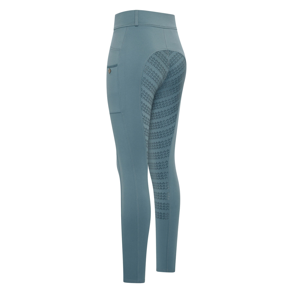 Imperial Riding Women's Tamara Full Grip Riding Tights #colour_moonstone