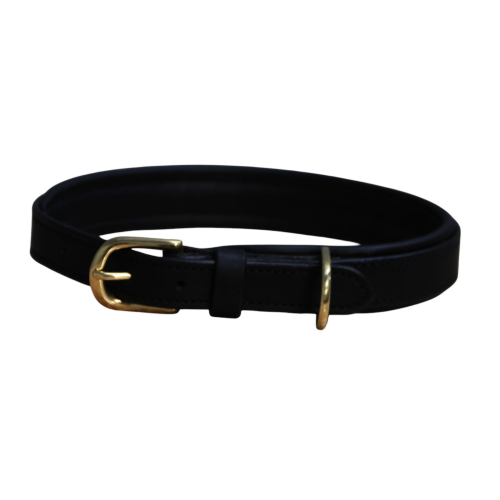 Mackey Padded Leather Dog Collar #colour_black