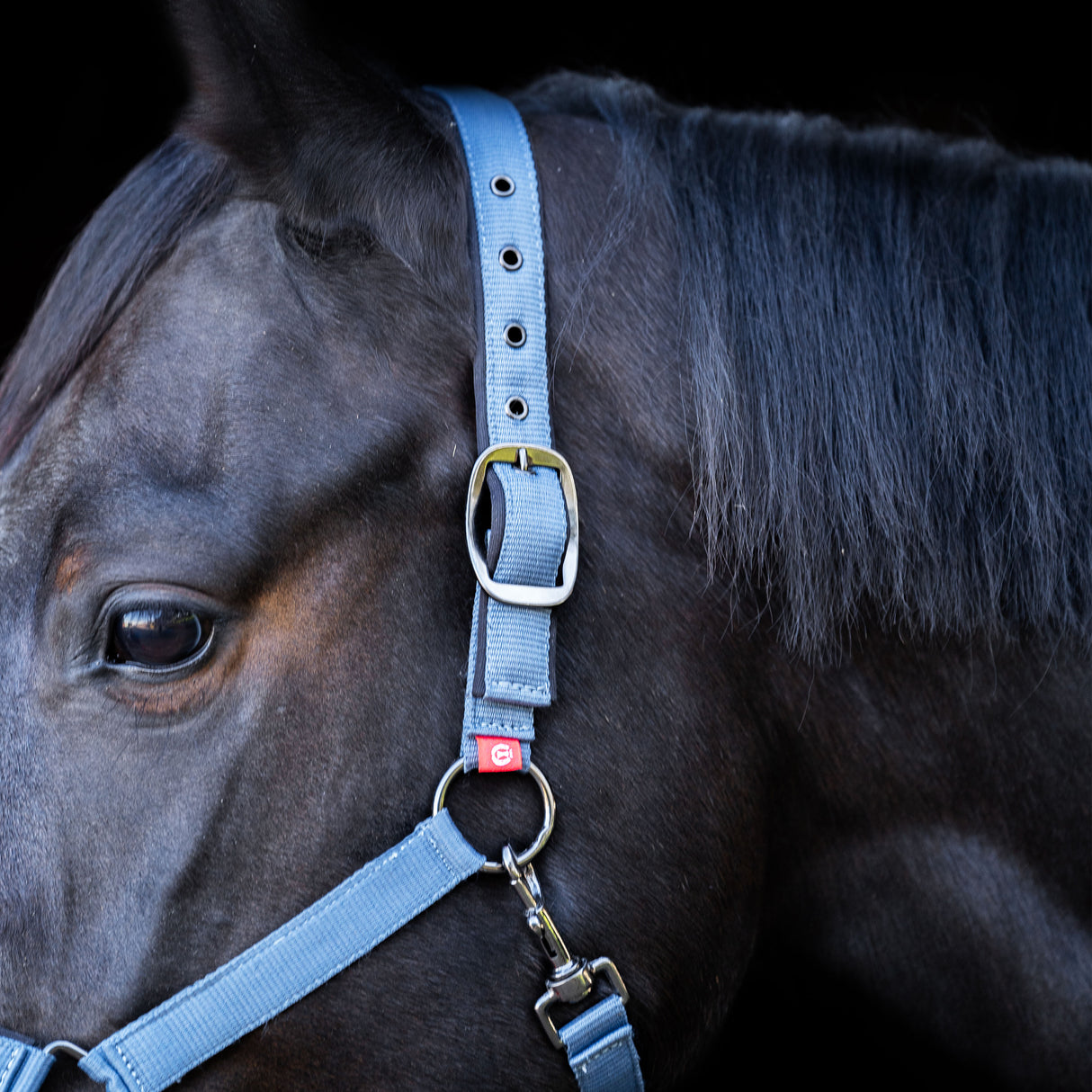 Imperial Riding Yearling Headcollar #colour_moonstone