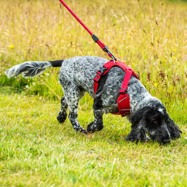 Mountain Paws Dog Harness #colour_red