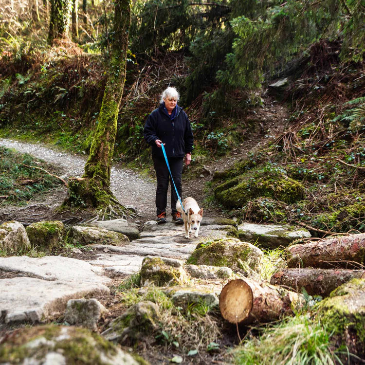 Mountain Paws Waterproof Dog Lead #colour_blue