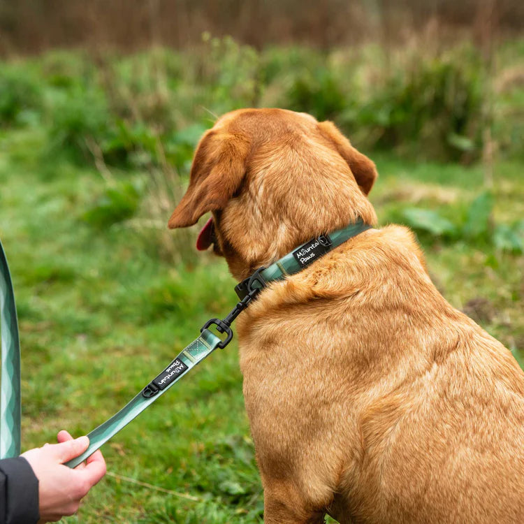 Mountain Paws Waterproof Dog Lead #colour_green