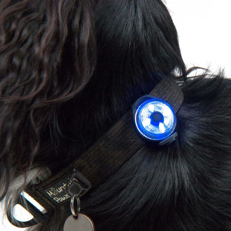 Mountain Paws Dog Safety Light