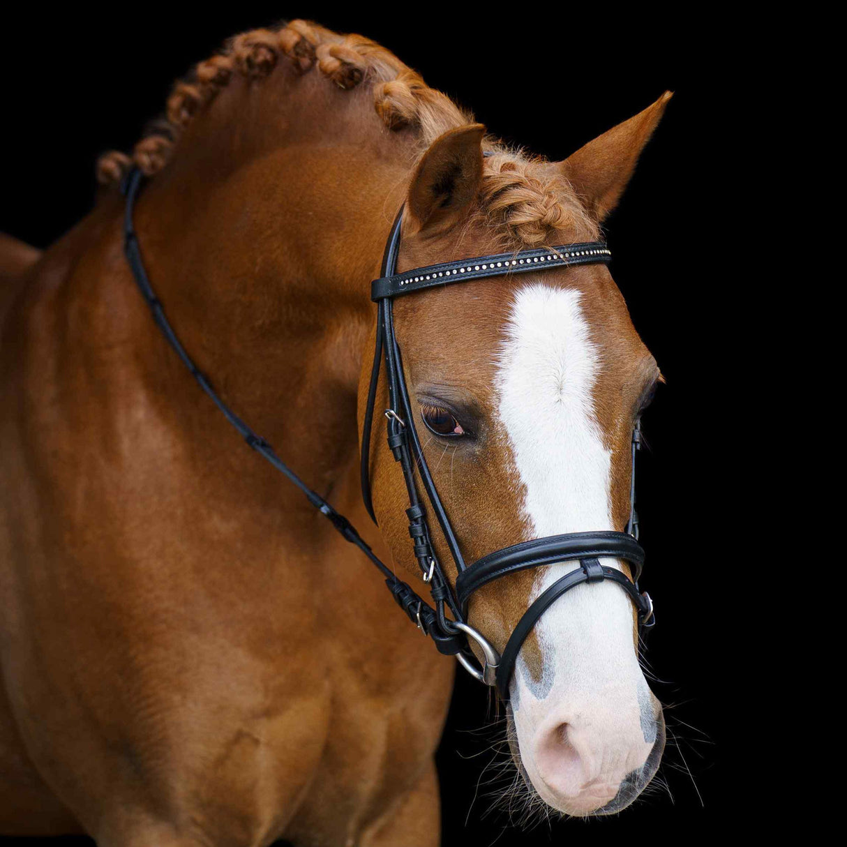 Imperial Riding Stormy Shetty Bridle
