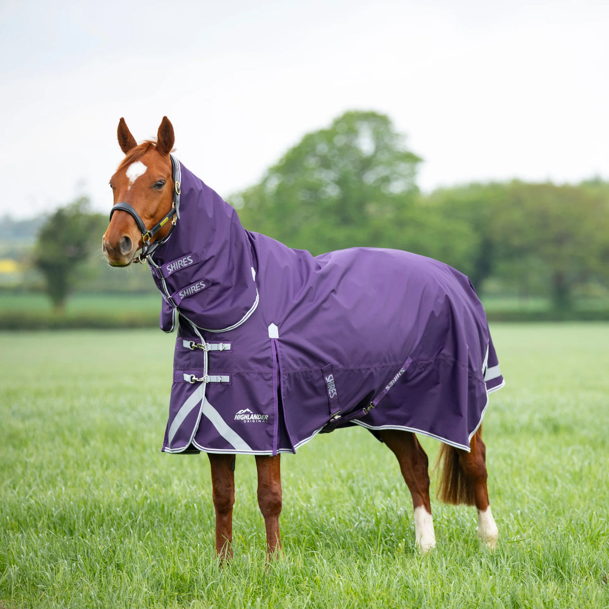 Shires Highlander Original 100g Combo Turnout Rug #colour_plum