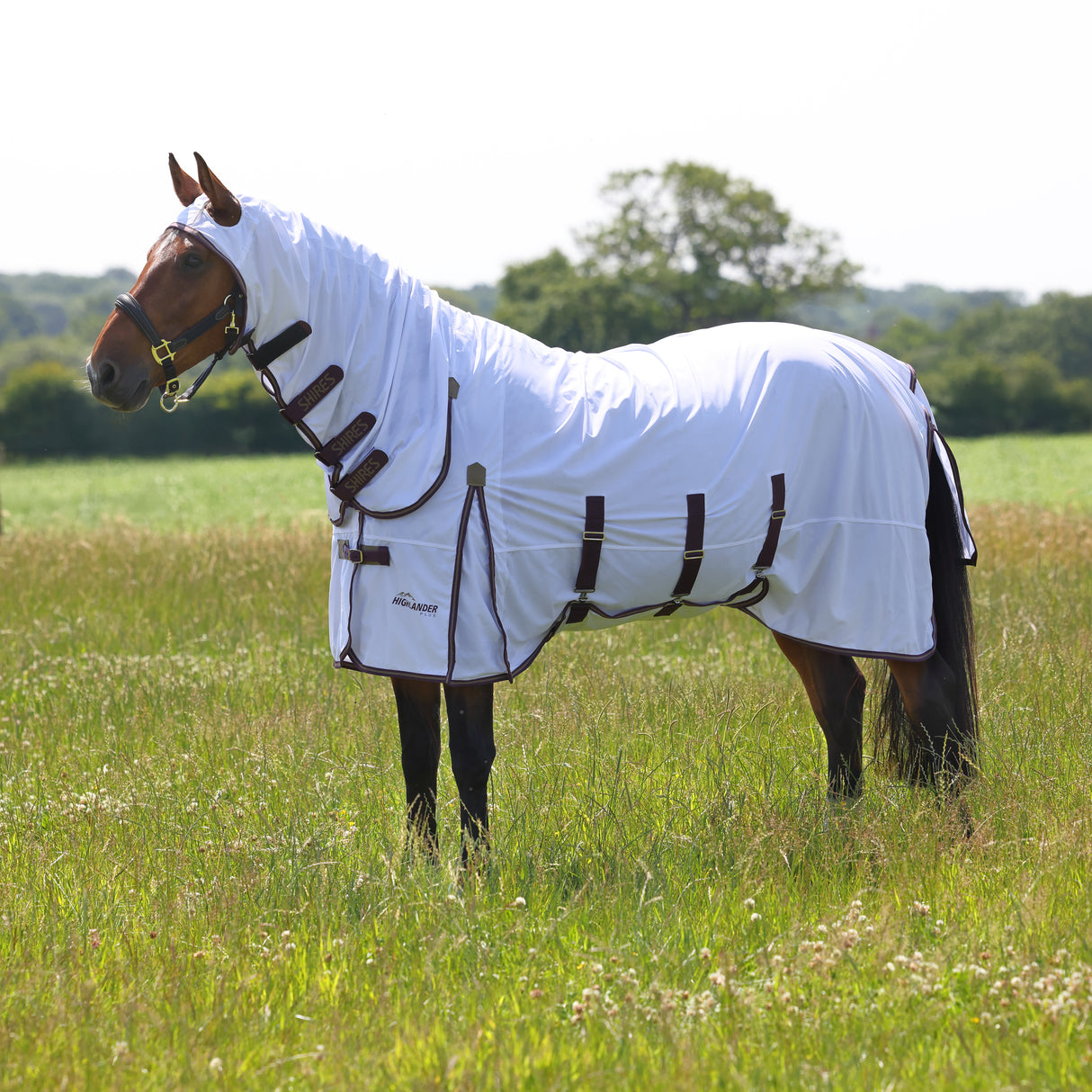 Ensemble de draps anti-mouches Shires Highlander Plus