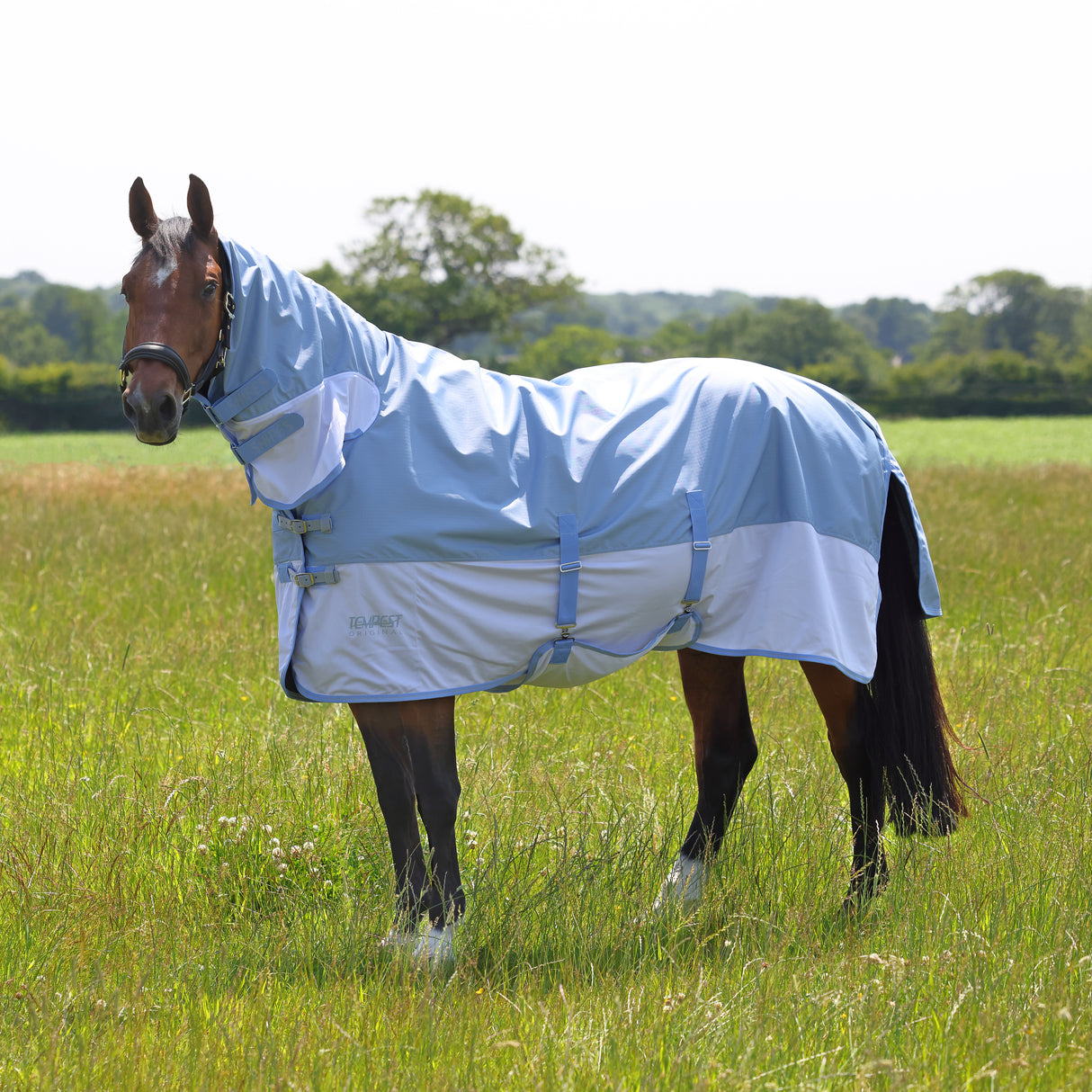 Shires Tempest Original wasserdichte Kombi-Fliegendecke