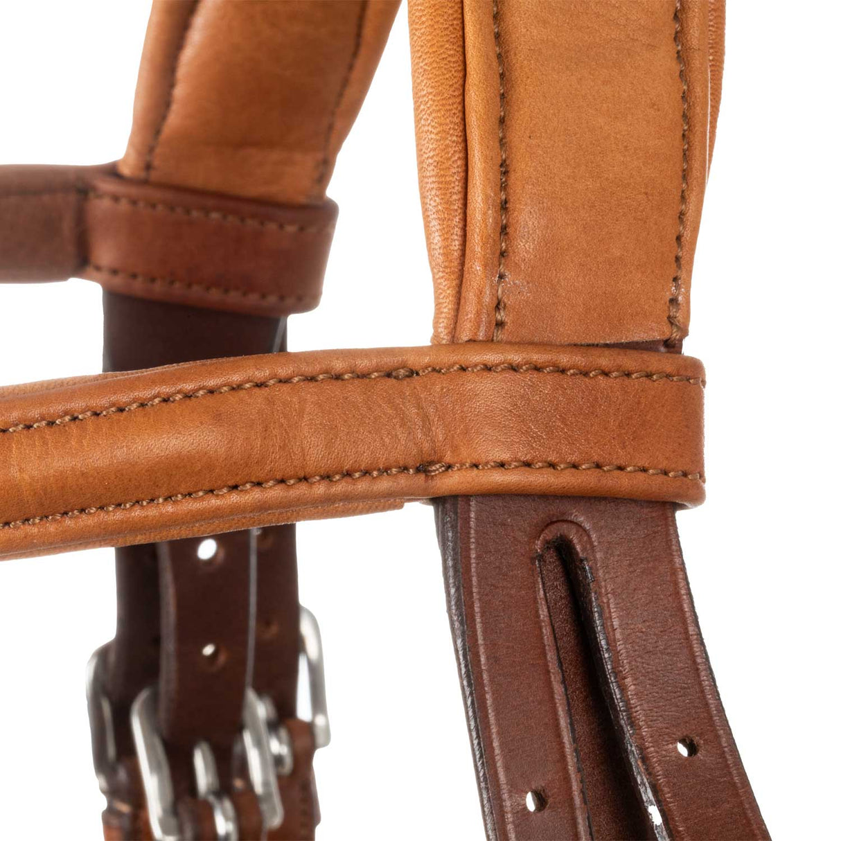 Acavallo Filosofia Bridle Calfskin #colour_cognac