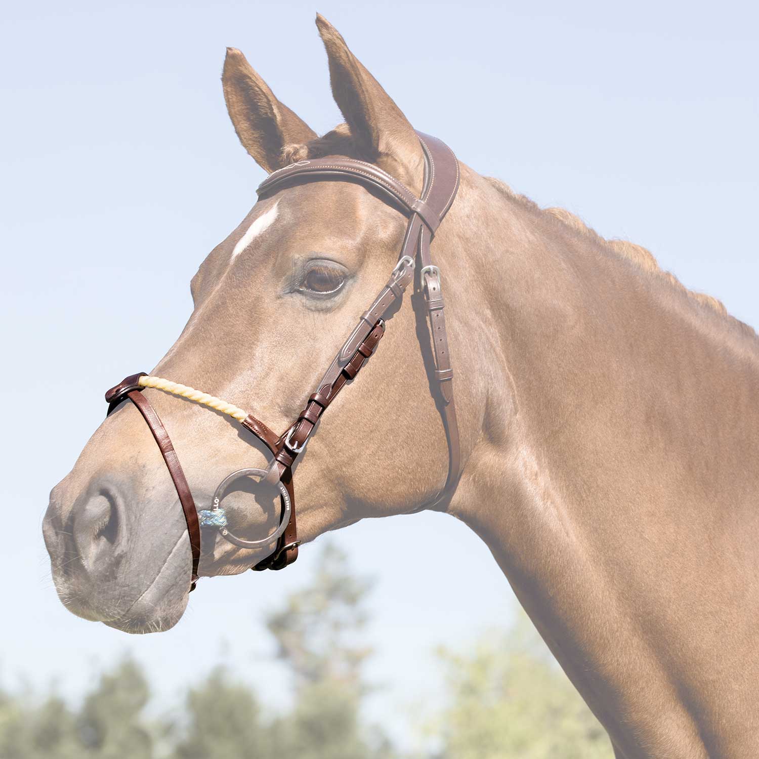 Acavallo Rope Flash Noseband #colour_brown
