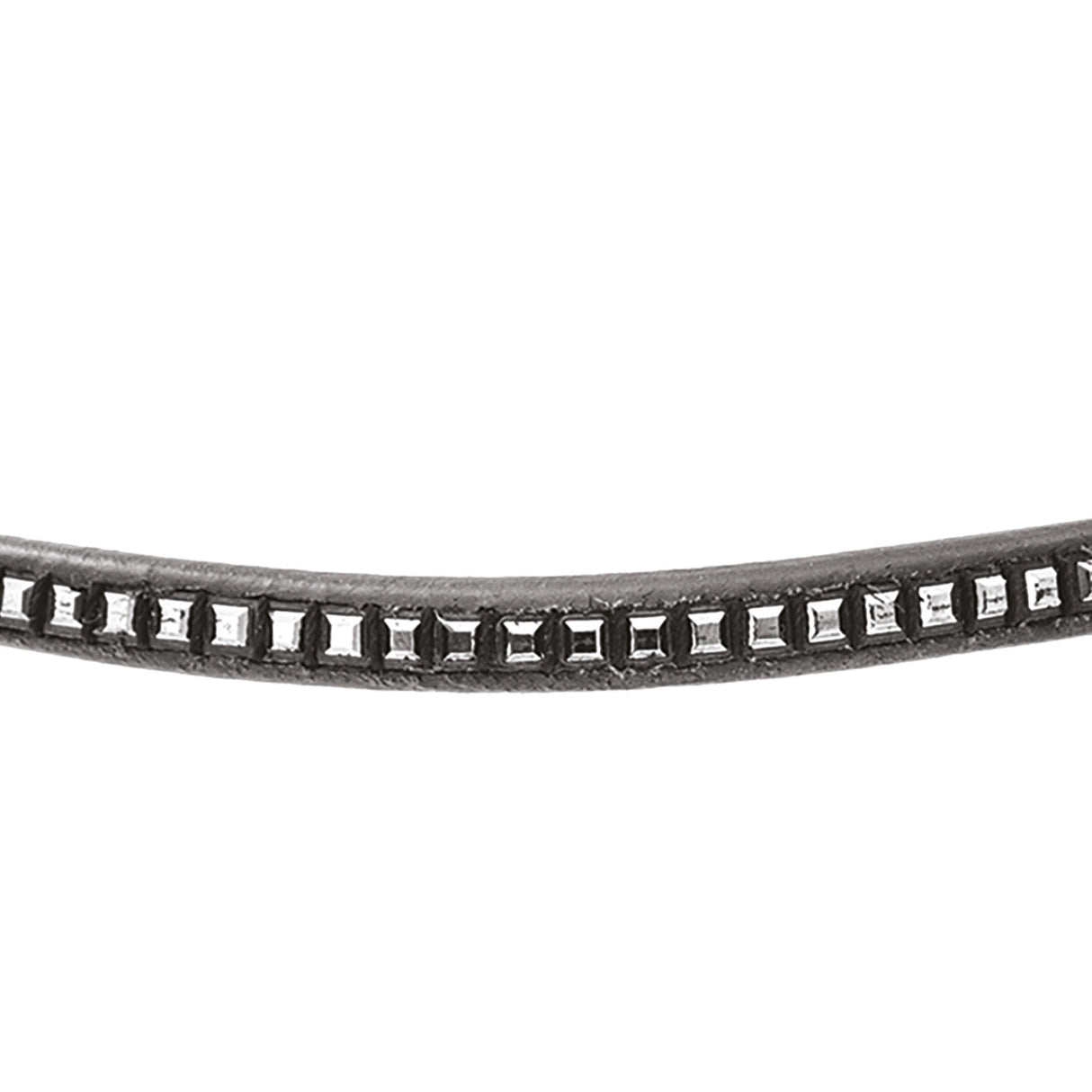 Equestro Leather Browband With Silver Clincher #colour_black