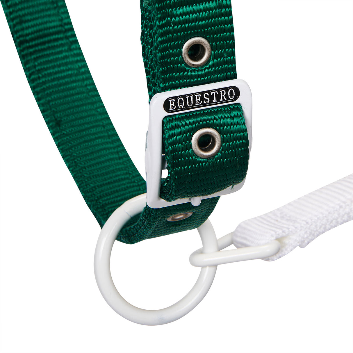 Equestro Nylon Halter With Snap Hook #colour_green