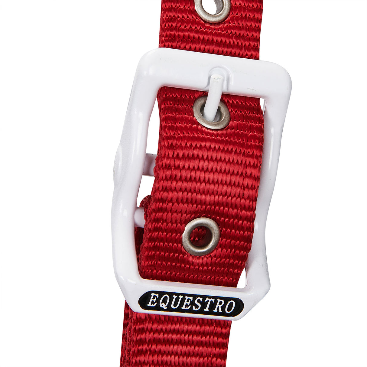Equestro Nylon Halter With Snap Hook #colour_green