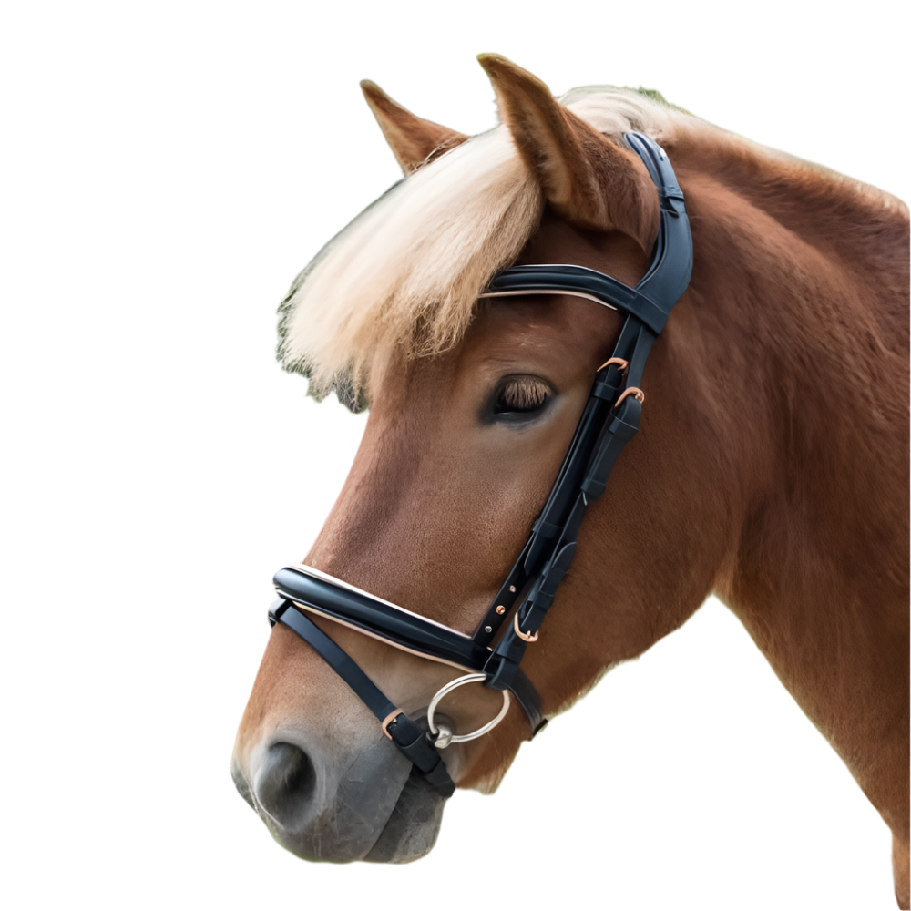 Waldhausen Icelandic Bridle Rose #colour_black-rose-gold