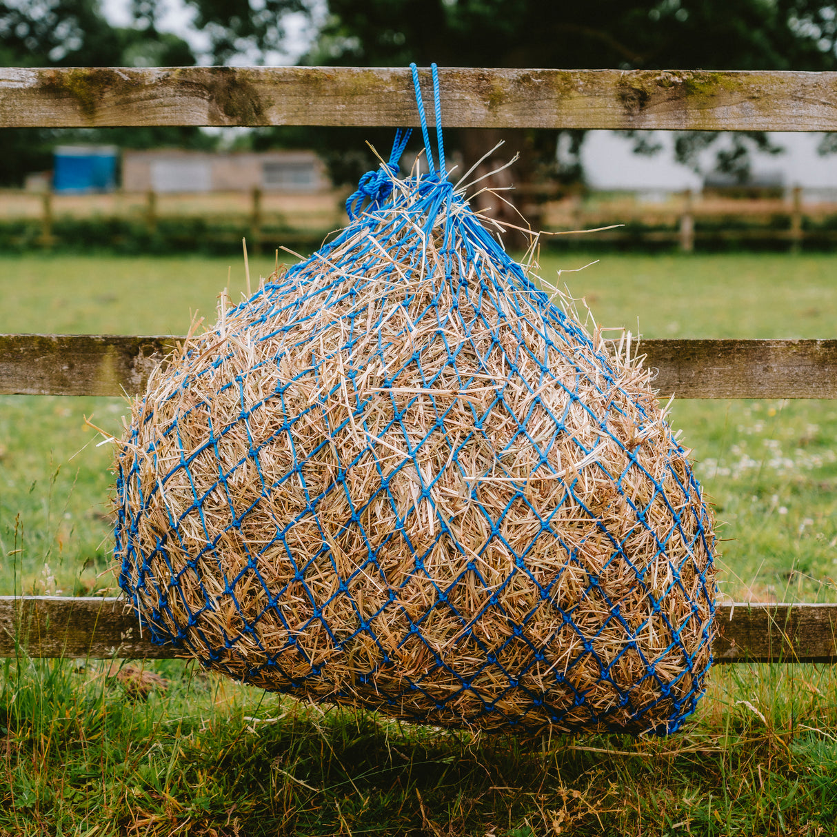 GS Equestrian Heunetz Deluxe 40"