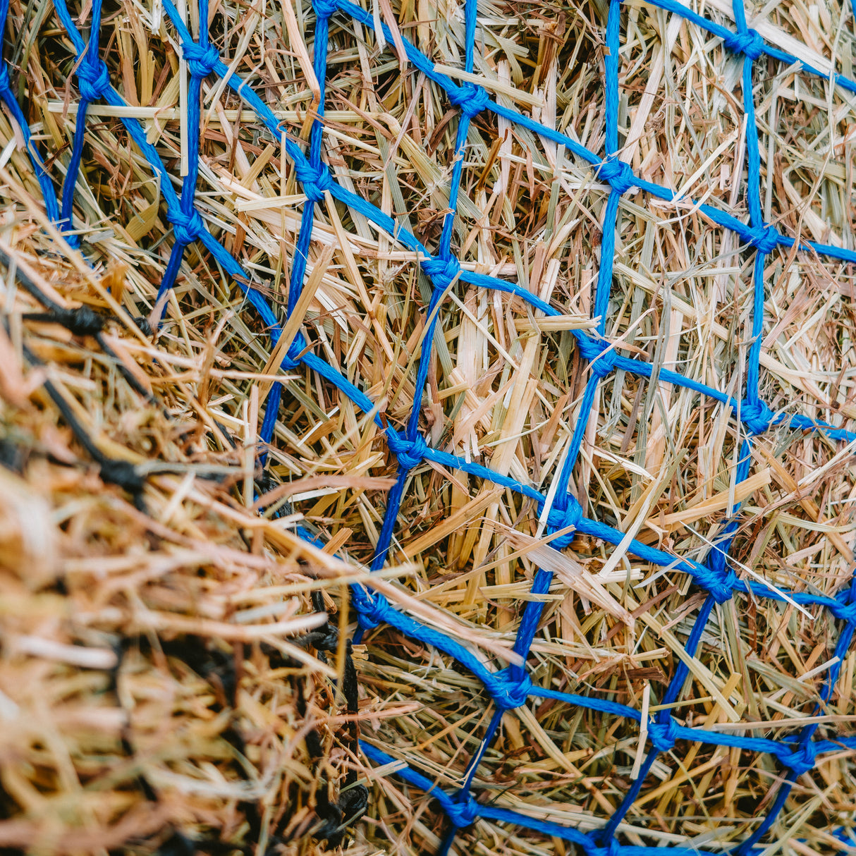 GS Equestrian Heunetz Deluxe 40"