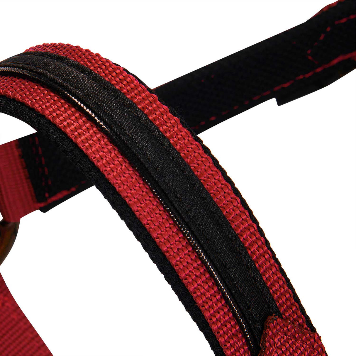 Equestro Durable Fleece Halter #colour_red
