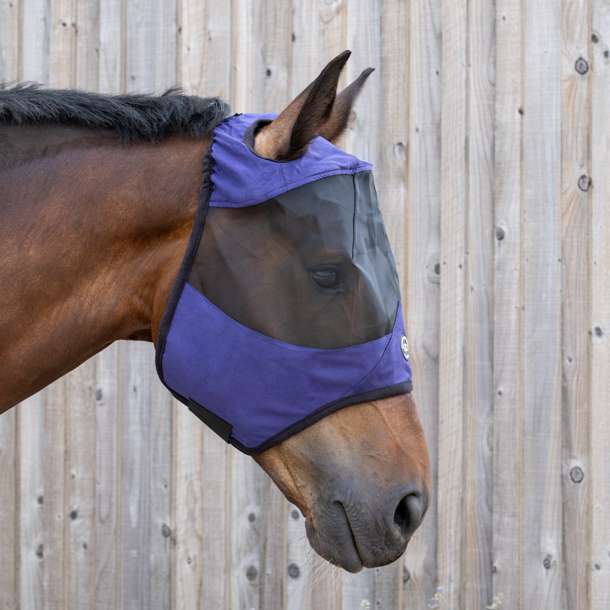 GS Equestrian & Country Revella Standard Fly Mask