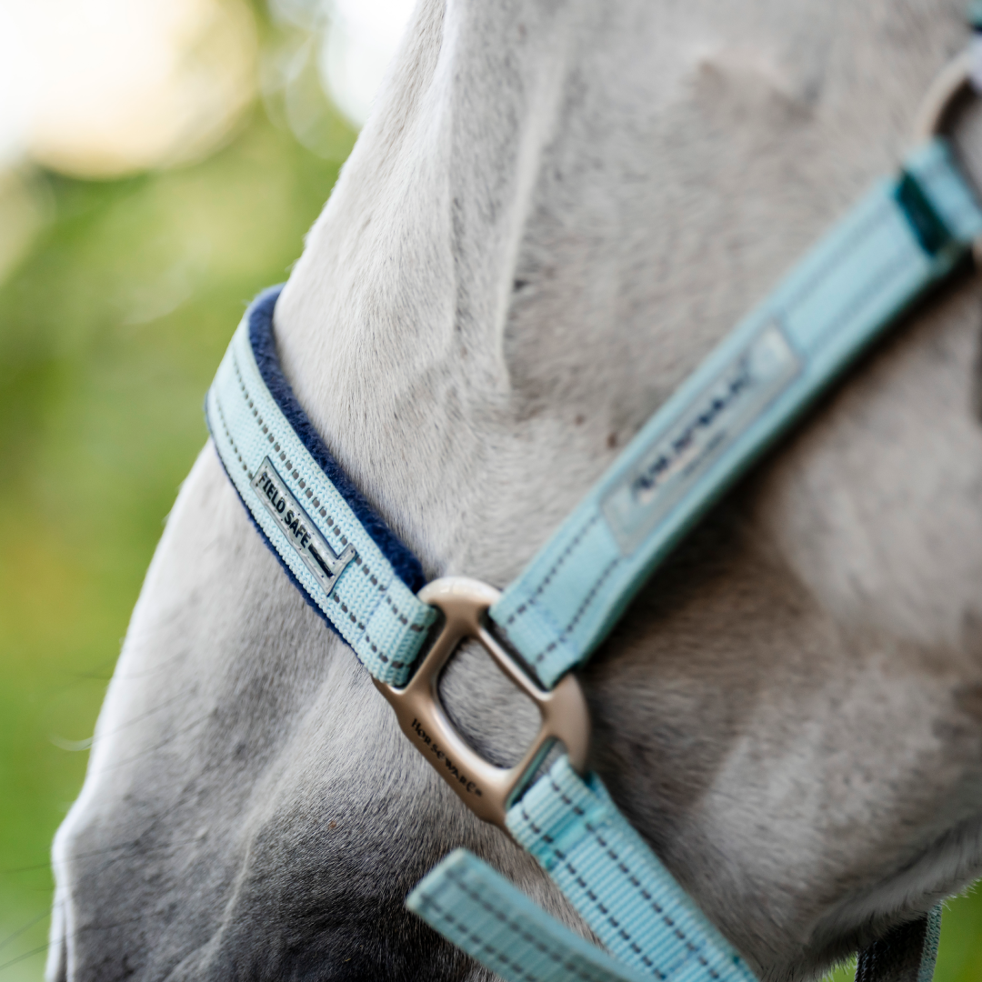 Horseware Ireland Field Safe Headcollar #colour_blue-haze