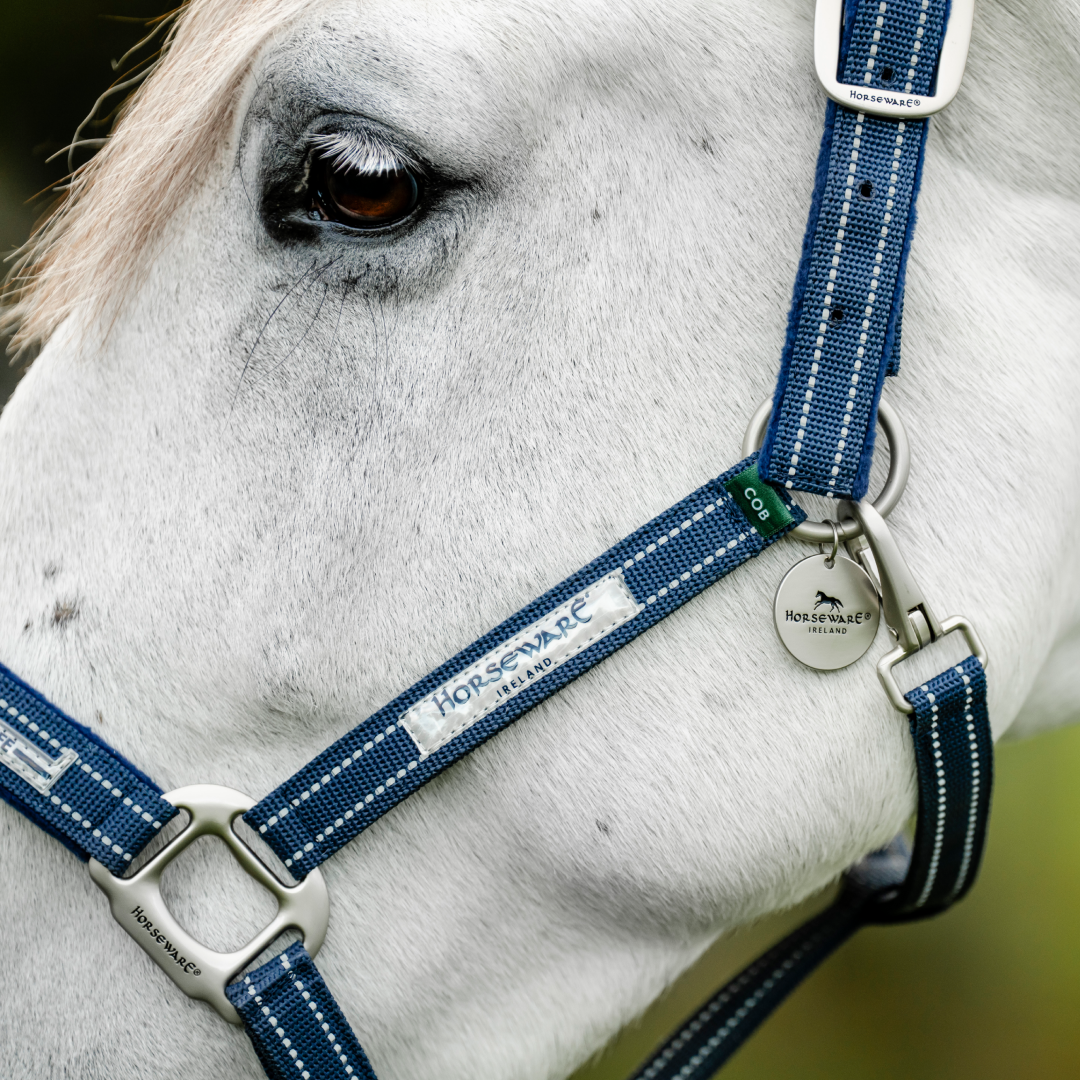 Horseware Ireland Field Safe Headcollar #colour_navy