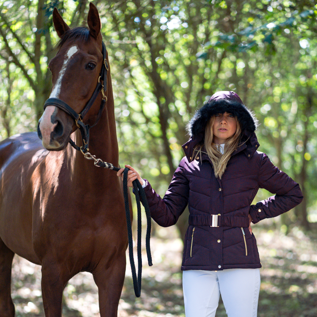 #colour_mulberry-purple