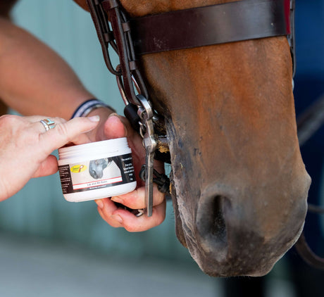 Smart Grooming Mini Natural Care Set