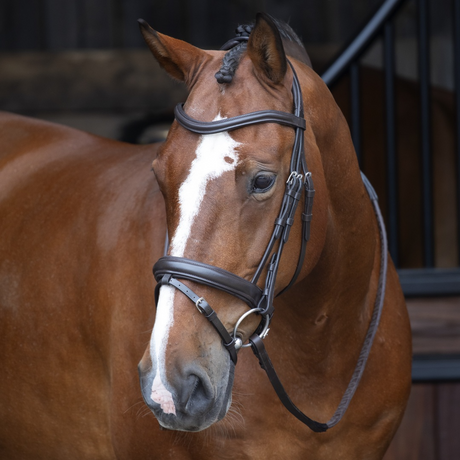 Shires Velociti RAPIDA Dressage Flash Bridle #colour_havana