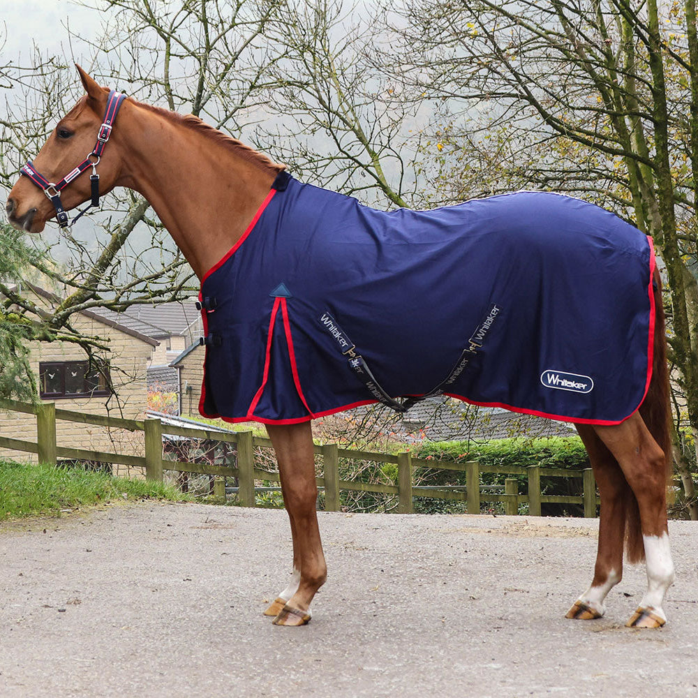 Whitaker Rastrick V2 Stable Sheet