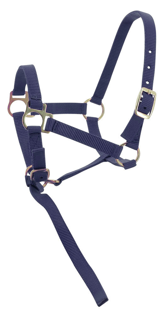 Norton Foal Headcollar Lead Rope