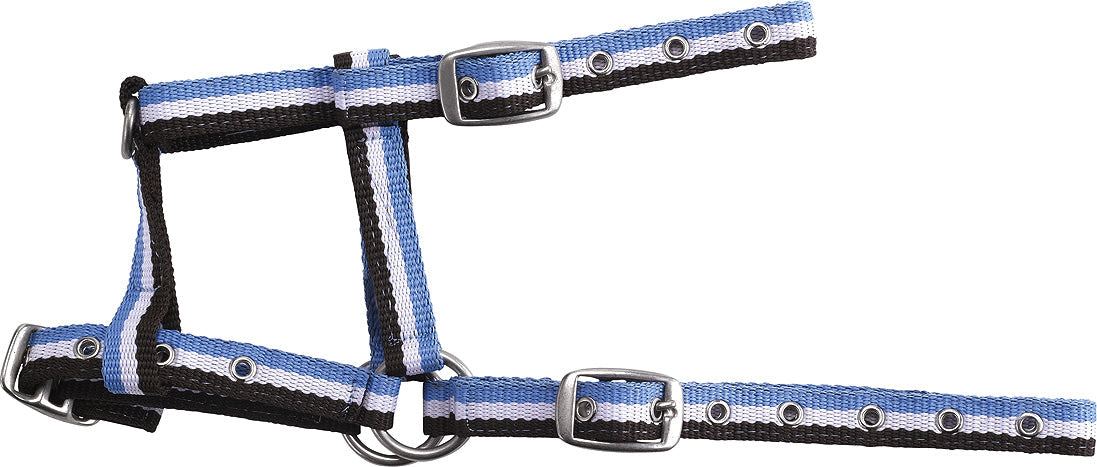 Norton Adjustable Foal Headcollar