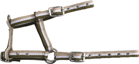 Norton Adjustable Foal Headcollar