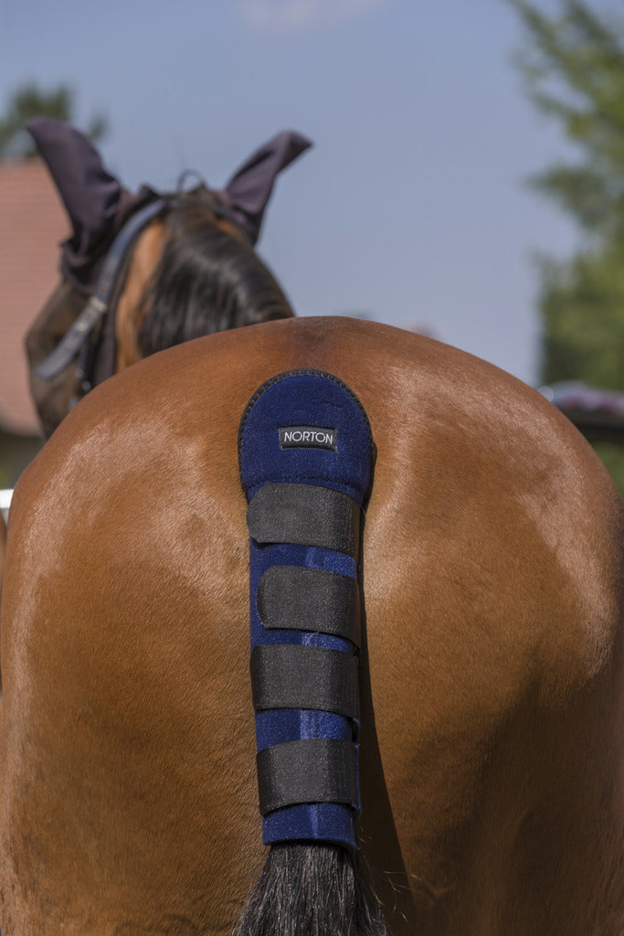 Norton High Protection Tail Guard