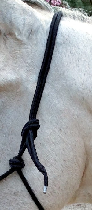 Norton Ethological Headcollar With Reins #colour_black