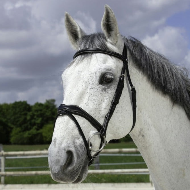 Norton Pro Vague Bridle #colour_black