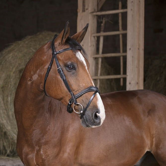 Norton Pro Vague Bridle #colour_black