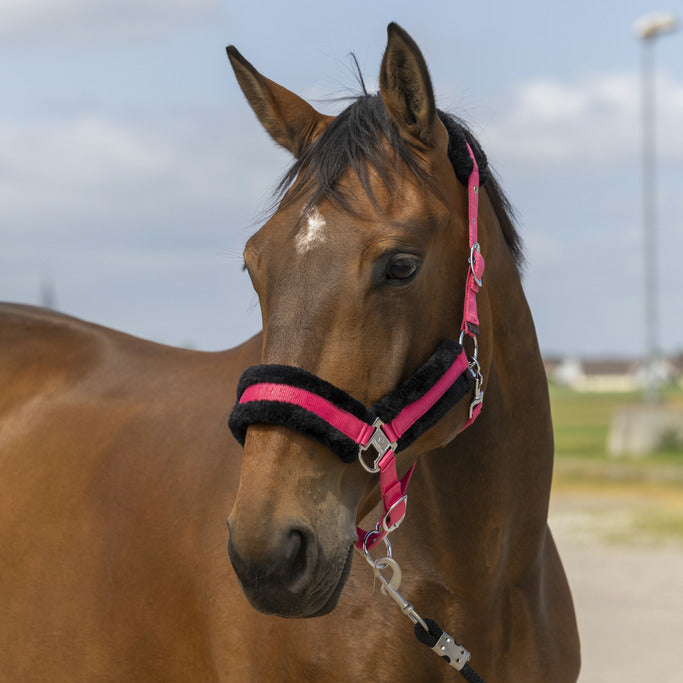 Equitheme Nylon Mouton Headcollar #colour_pink-black