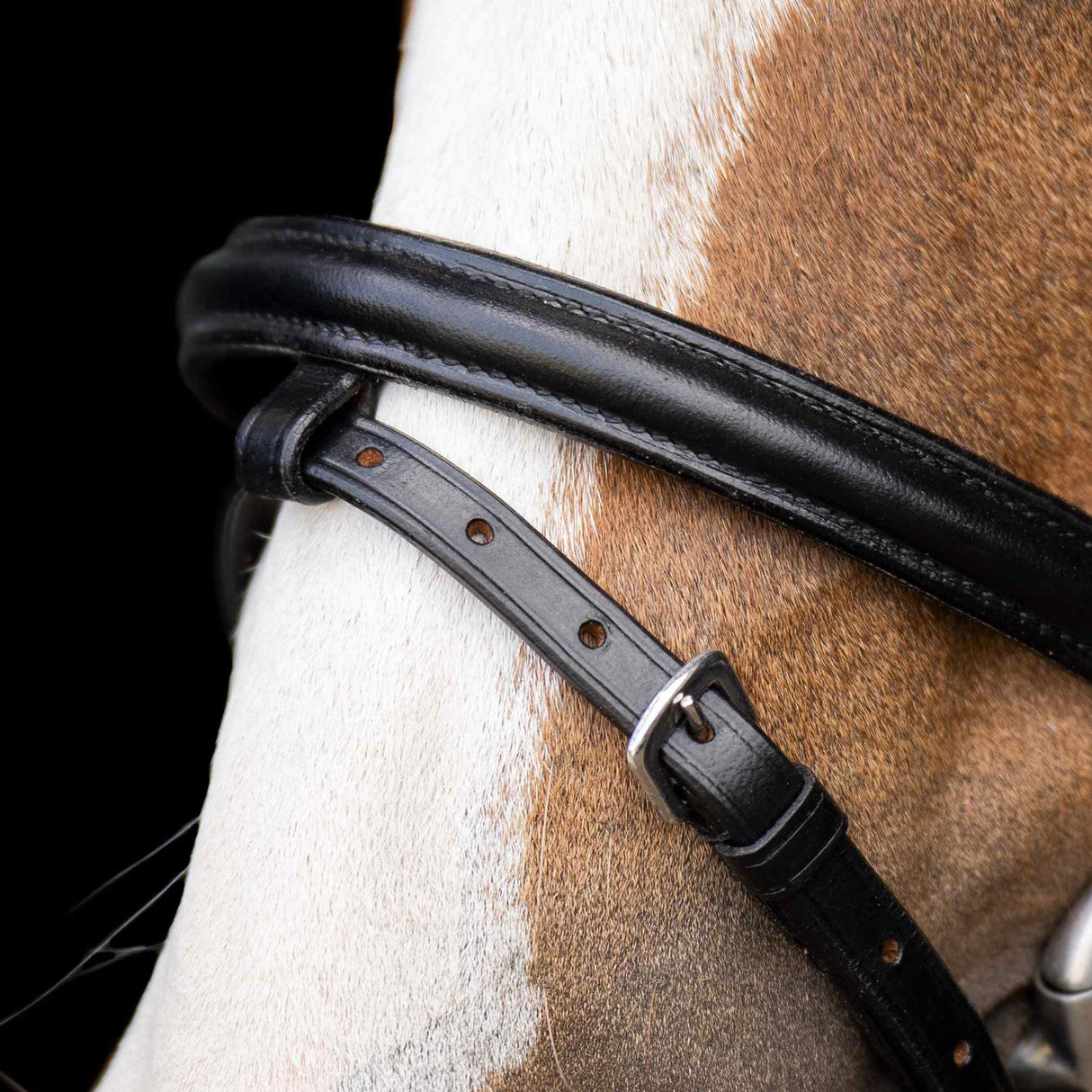 Imperial Riding Stormy Shetty Bridle