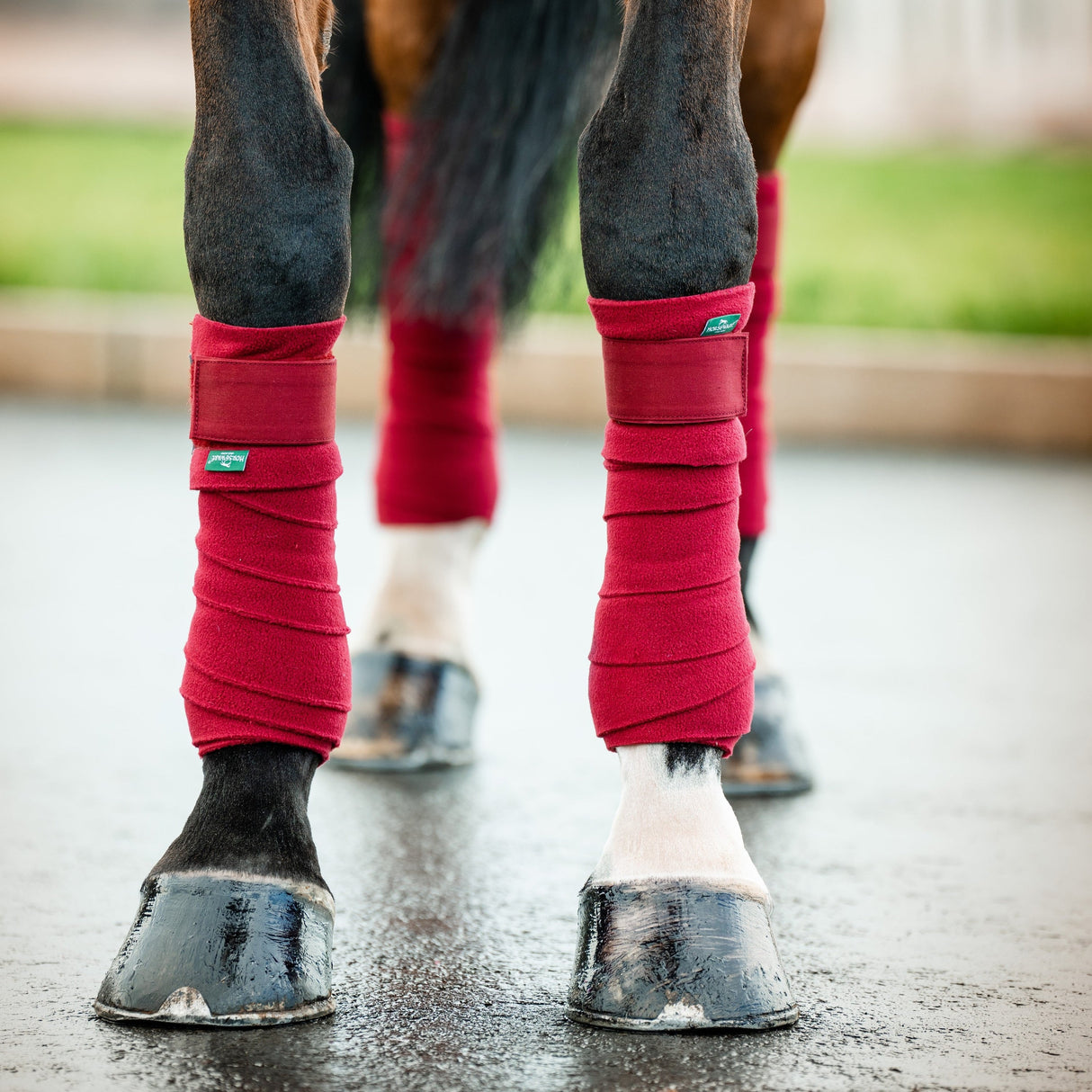 Horseware Ireland Amigo Fleece Bandages #colour_mulberry