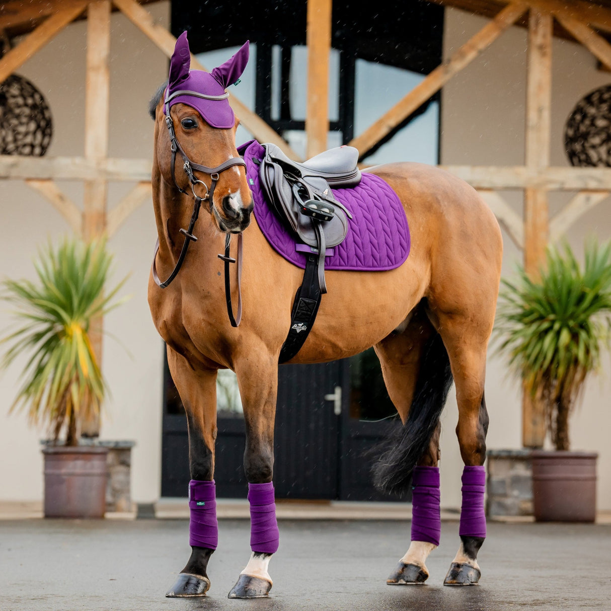 Horseware Ireland Amigo GP Saddle Pad #colour_winterberry