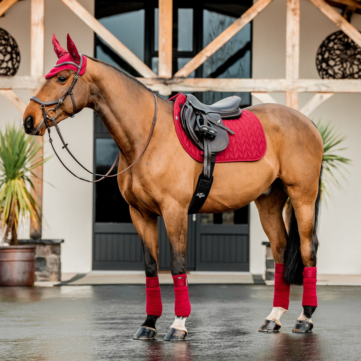 Horseware Ireland Amigo GP Saddle Pad #colour_mulberry