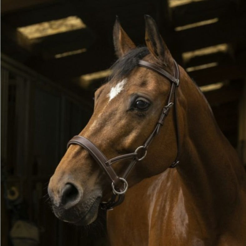 Norton Pro Confort Side-Pull #colour_havana